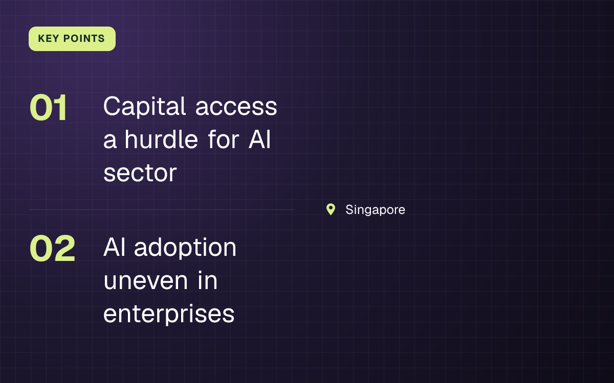 KEY POINTS. Capital access a hurdle for AI sector; AI adoption uneven in enterprises. Singapore.