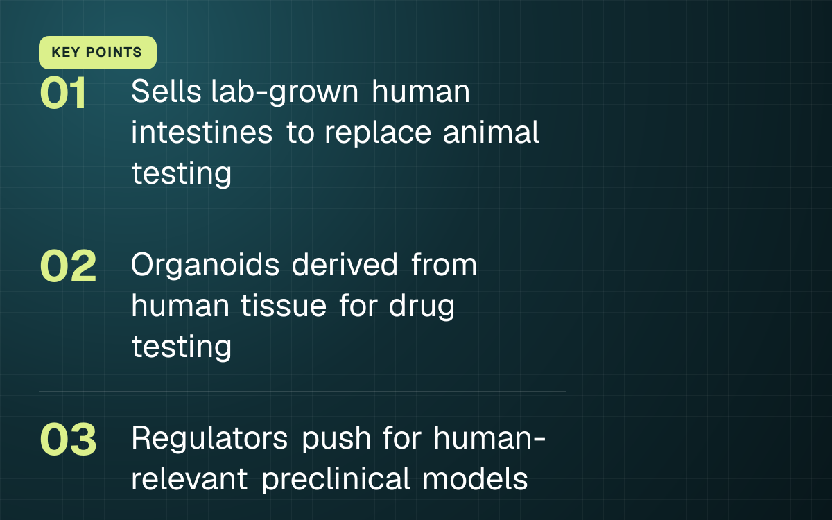 KEY POINTS. Sells lab-grown human intestines to replace animal testing; Organoids derived from human tissue for drug testing; Regulators push for human-relevant preclinical models.